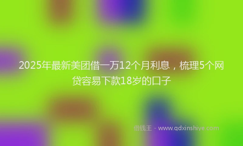2025年最新美团借一万12个月利息，梳理5个网贷容易下款18岁的口子