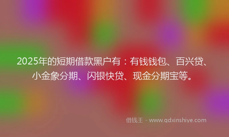 2025年的短期借款黑户有：有钱钱包、百兴贷、小金象分期、闪银快贷、现金分期宝等。
