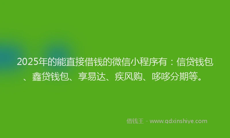 2025年的能直接借钱的微信小程序有：信贷钱包、鑫贷钱包、享易达、疾风购、哆哆分期等。