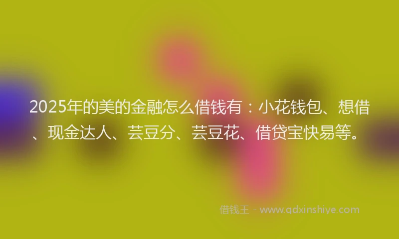 2025年的美的金融怎么借钱有：小花钱包、想借、现金达人、芸豆分、芸豆花、借贷宝快易等。