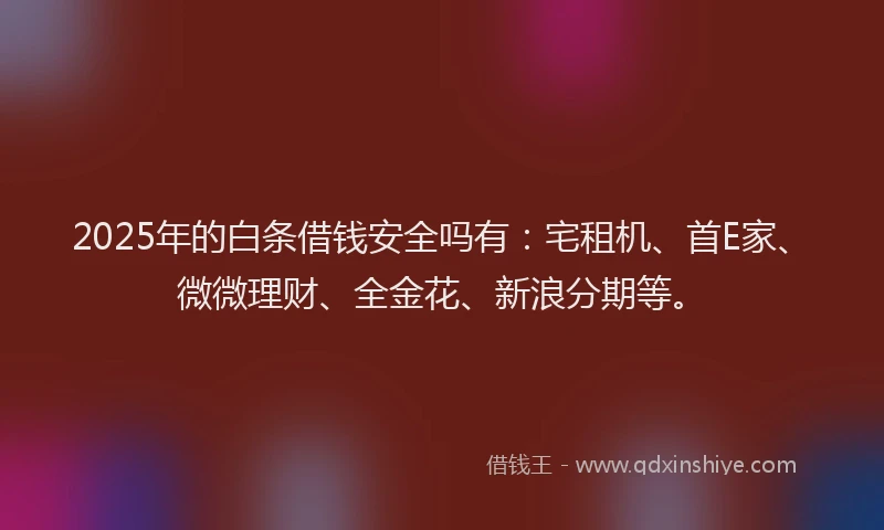 2025年的白条借钱安全吗有：宅租机、首E家、微微理财、全金花、新浪分期等。