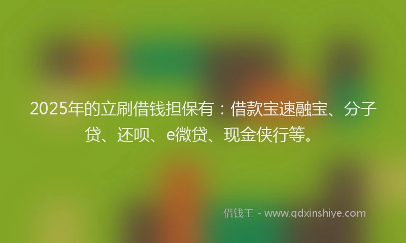 2025年的立刷借钱担保有：借款宝速融宝、分子贷、还呗、e微贷、现金侠行等。