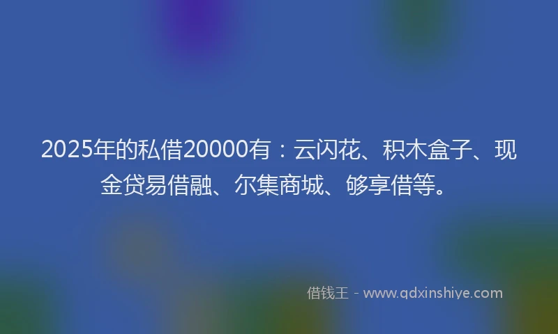 2025年的私借20000有：云闪花、积木盒子、现金贷易借融、尔集商城、够享借等。