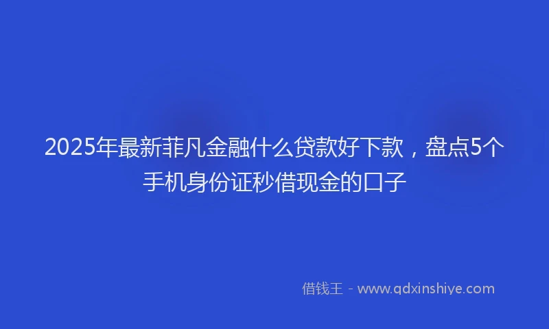 2025年最新菲凡金融什么贷款好下款，盘点5个手机身份证秒借现金的口子
