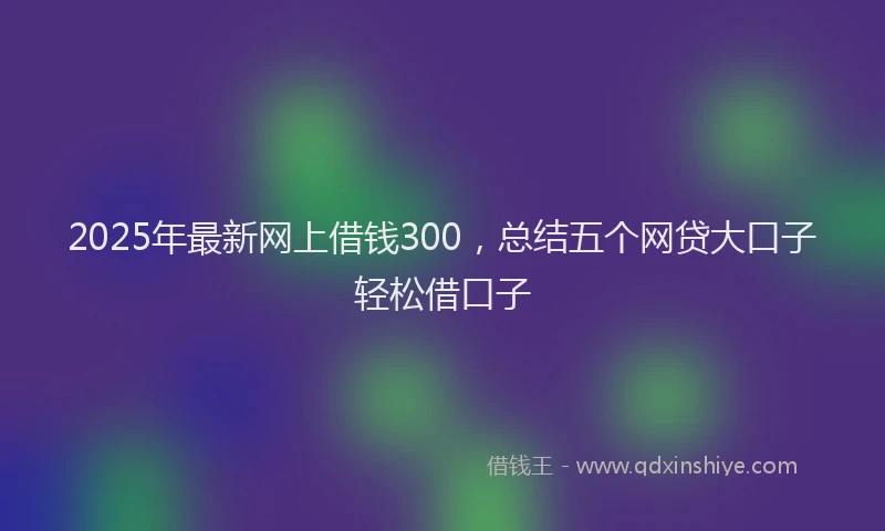 2025年最新网上借钱300，总结五个网贷大口子轻松借口子