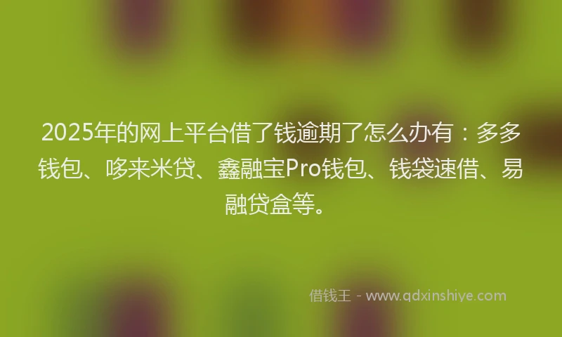 2025年的网上平台借了钱逾期了怎么办有：多多钱包、哆来米贷、鑫融宝Pro钱包、钱袋速借、易融贷盒等。