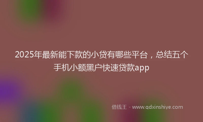 2025年最新能下款的小贷有哪些平台，总结五个手机小额黑户快速贷款app