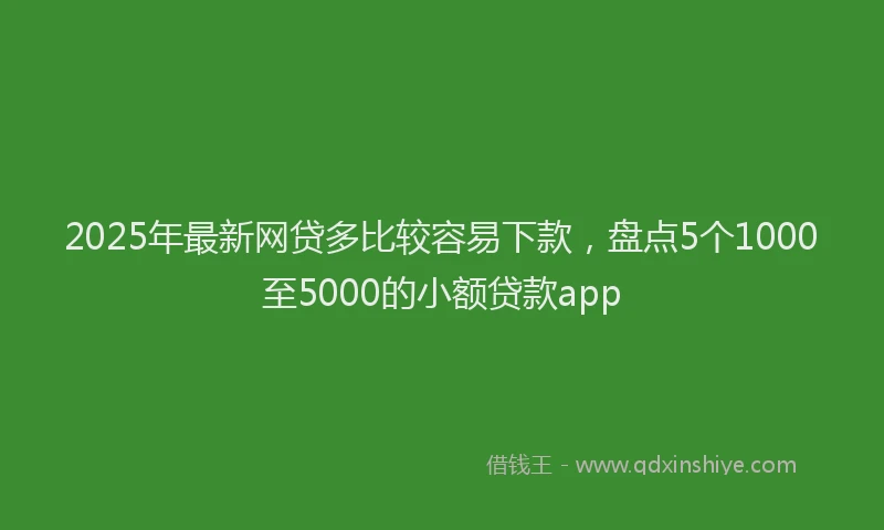 2025年最新网贷多比较容易下款，盘点5个1000至5000的小额贷款app