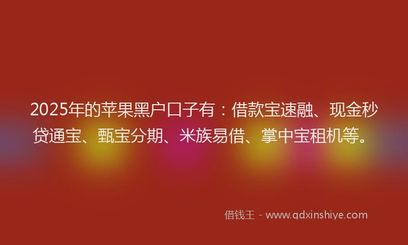 2025年的苹果黑户口子有：借款宝速融、现金秒贷通宝、甄宝分期、米族易借、掌中宝租机等。