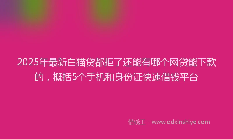 2025年最新白猫贷都拒了还能有哪个网贷能下款的，概括5个手机和身份证快速借钱平台
