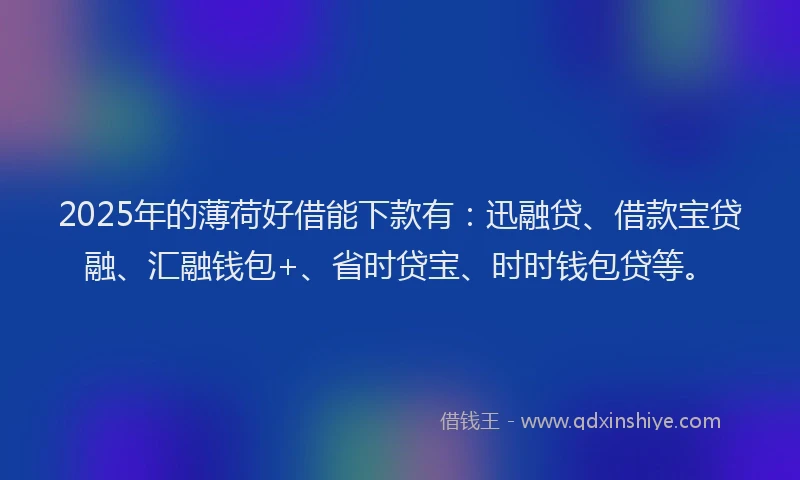 2025年的薄荷好借能下款有：迅融贷、借款宝贷融、汇融钱包+、省时贷宝、时时钱包贷等。