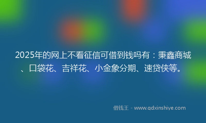 2025年的网上不看征信可借到钱吗有：秉鑫商城、口袋花、吉祥花、小金象分期、速贷侠等。
