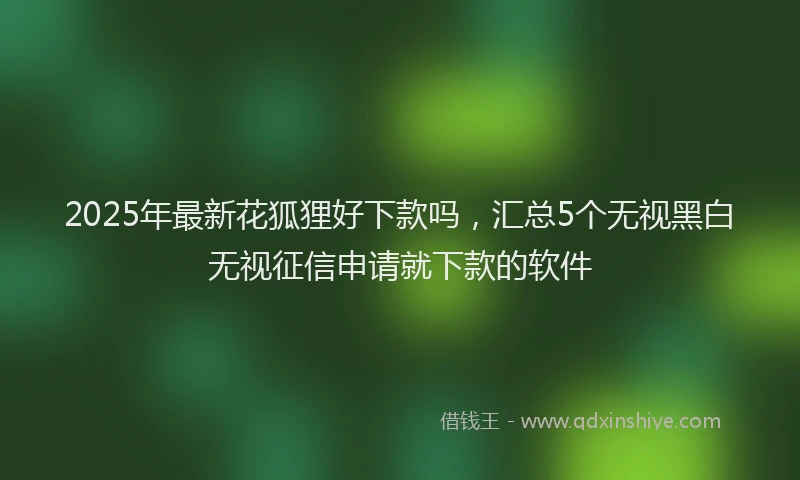 2025年最新花狐狸好下款吗，汇总5个无视黑白无视征信申请就下款的软件