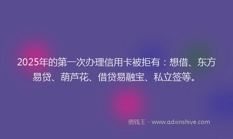 2025年的第一次办理信用卡被拒有：想借、东方易贷、葫芦花、借贷易融宝、私立签等。