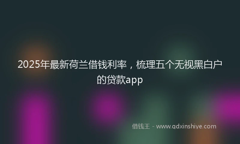 2025年最新荷兰借钱利率，梳理五个无视黑白户的贷款app