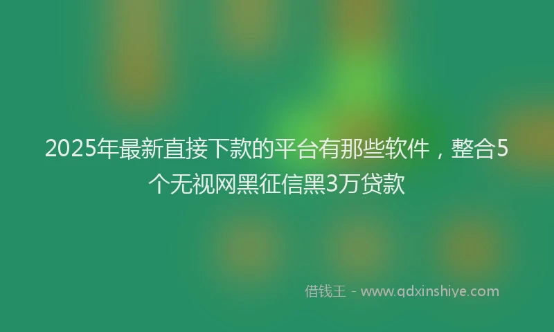 2025年最新直接下款的平台有那些软件，整合5个无视网黑征信黑3万贷款