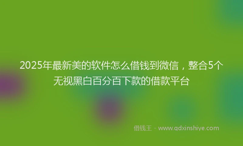 2025年最新美的软件怎么借钱到微信，整合5个无视黑白百分百下款的借款平台