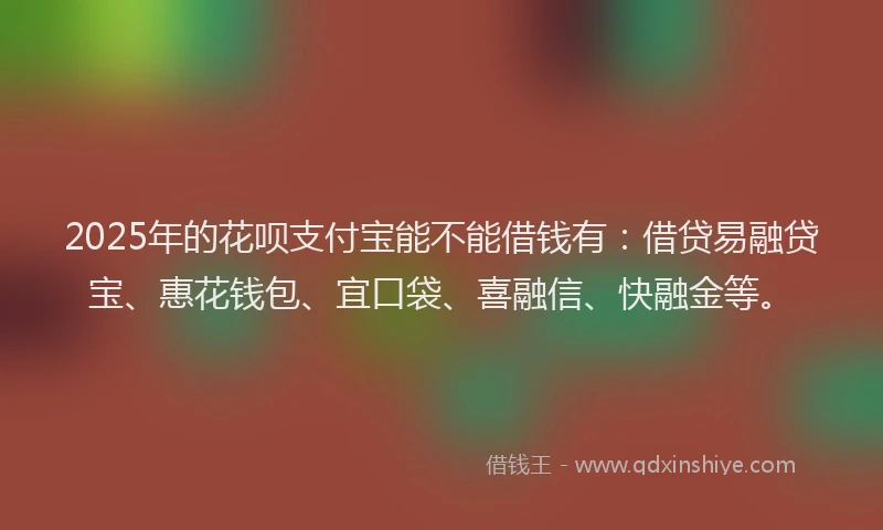 2025年的花呗支付宝能不能借钱有：借贷易融贷宝、惠花钱包、宜口袋、喜融信、快融金等。