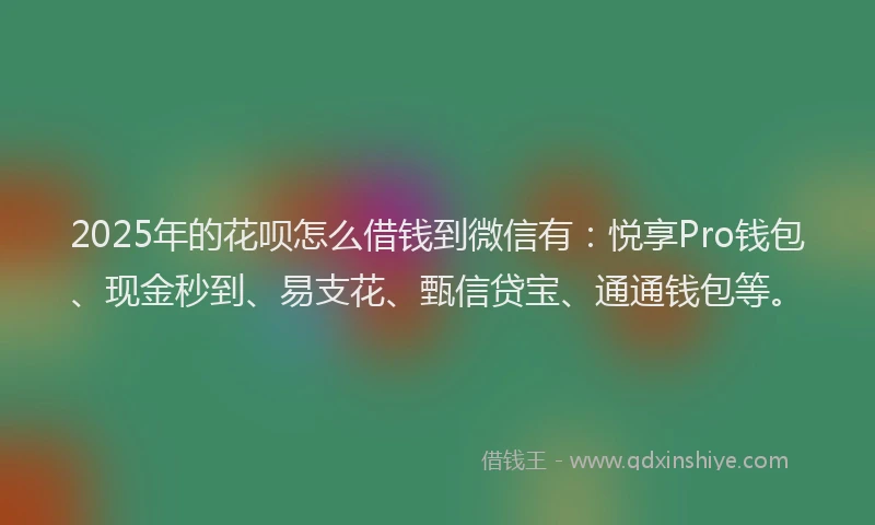 2025年的花呗怎么借钱到微信有：悦享Pro钱包、现金秒到、易支花、甄信贷宝、通通钱包等。