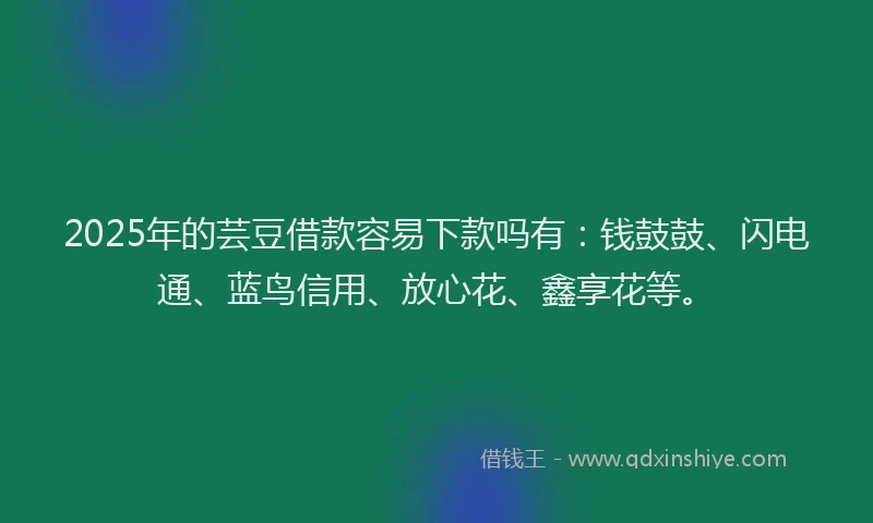 2025年的芸豆借款容易下款吗有：钱鼓鼓、闪电通、蓝鸟信用、放心花、鑫享花等。