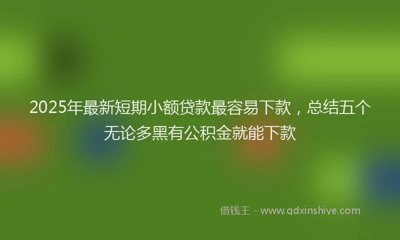 2025年最新短期小额贷款最容易下款，总结五个无论多黑有公积金就能下款