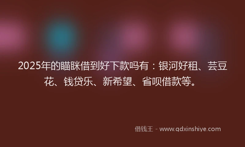 2025年的瞄眯借到好下款吗有：银河好租、芸豆花、钱贷乐、新希望、省呗借款等。