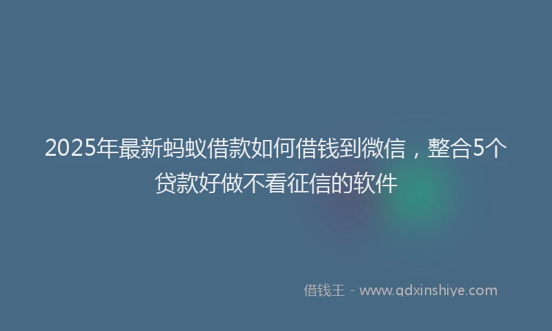 2025年最新蚂蚁借款如何借钱到微信，整合5个贷款好做不看征信的软件