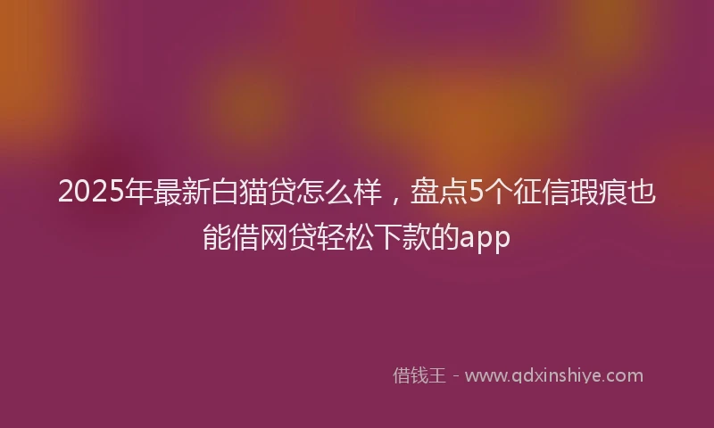 2025年最新白猫贷怎么样，盘点5个征信瑕疵也能借网贷轻松下款的app