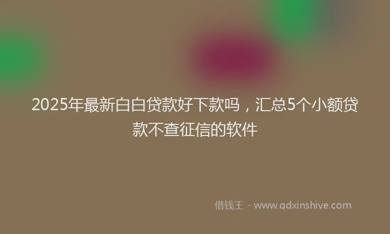 2025年最新白白贷款好下款吗，汇总5个小额贷款不查征信的软件
