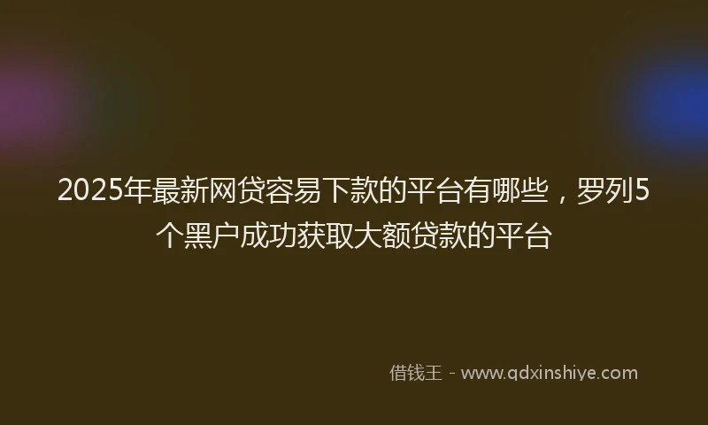 2025年最新网贷容易下款的平台有哪些，罗列5个黑户成功获取大额贷款的平台