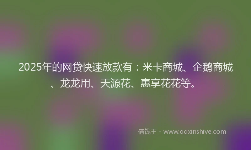2025年的网贷快速放款有：米卡商城、企鹅商城、龙龙用、天源花、惠享花花等。