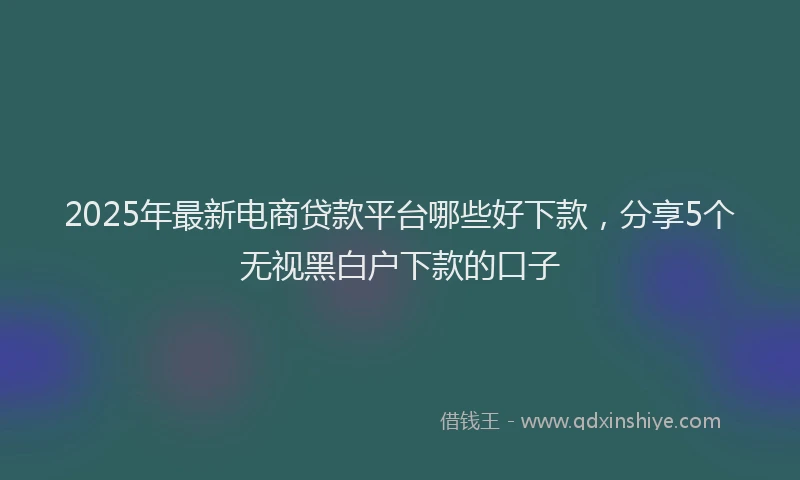 2025年最新电商贷款平台哪些好下款，分享5个无视黑白户下款的口子