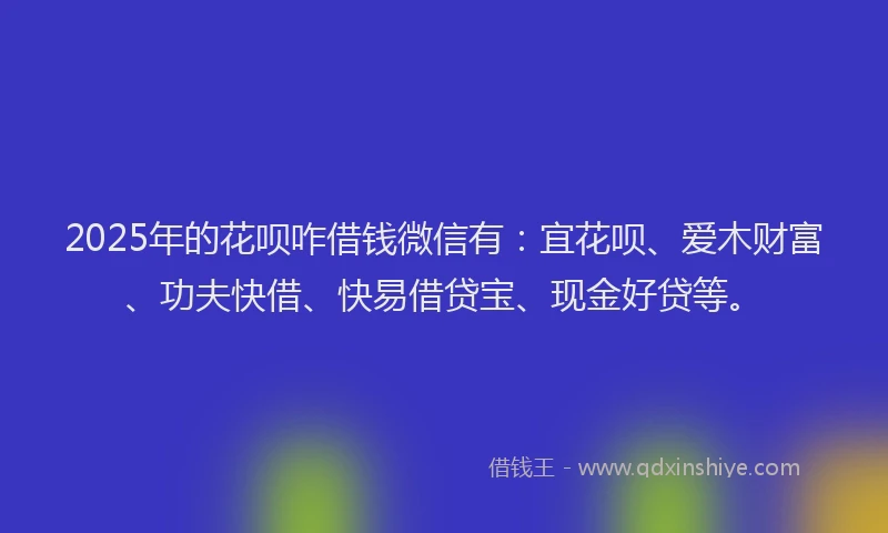 2025年的花呗咋借钱微信有：宜花呗、爱木财富、功夫快借、快易借贷宝、现金好贷等。