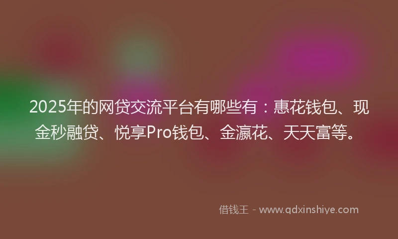 2025年的网贷交流平台有哪些有：惠花钱包、现金秒融贷、悦享Pro钱包、金瀛花、天天富等。