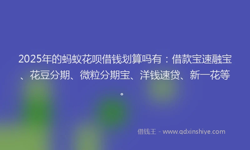 2025年的蚂蚁花呗借钱划算吗有：借款宝速融宝、花豆分期、微粒分期宝、洋钱速贷、新一花等。