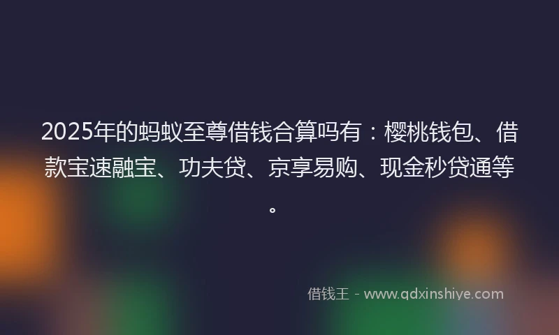 2025年的蚂蚁至尊借钱合算吗有：樱桃钱包、借款宝速融宝、功夫贷、京享易购、现金秒贷通等。