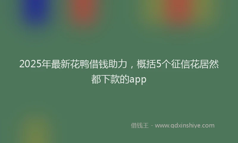 2025年最新花鸭借钱助力，概括5个征信花居然都下款的app