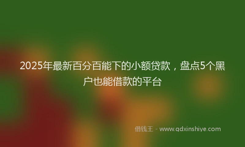 2025年最新百分百能下的小额贷款，盘点5个黑户也能借款的平台