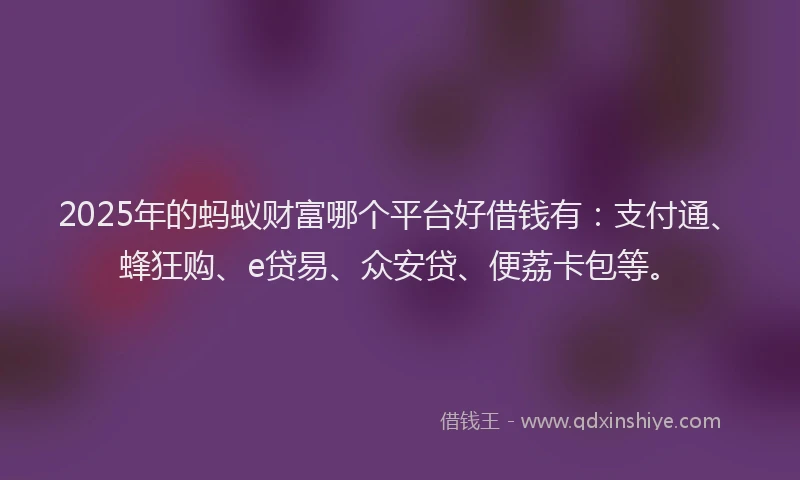 2025年的蚂蚁财富哪个平台好借钱有：支付通、蜂狂购、e贷易、众安贷、便荔卡包等。