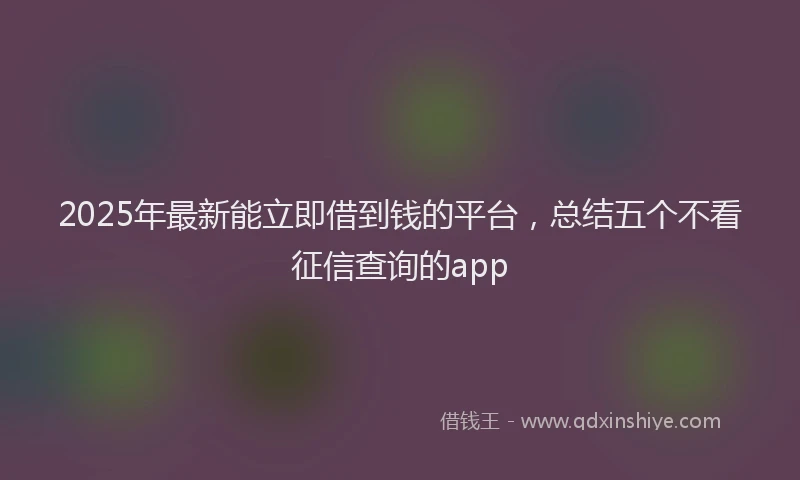 2025年最新能立即借到钱的平台，总结五个不看征信查询的app