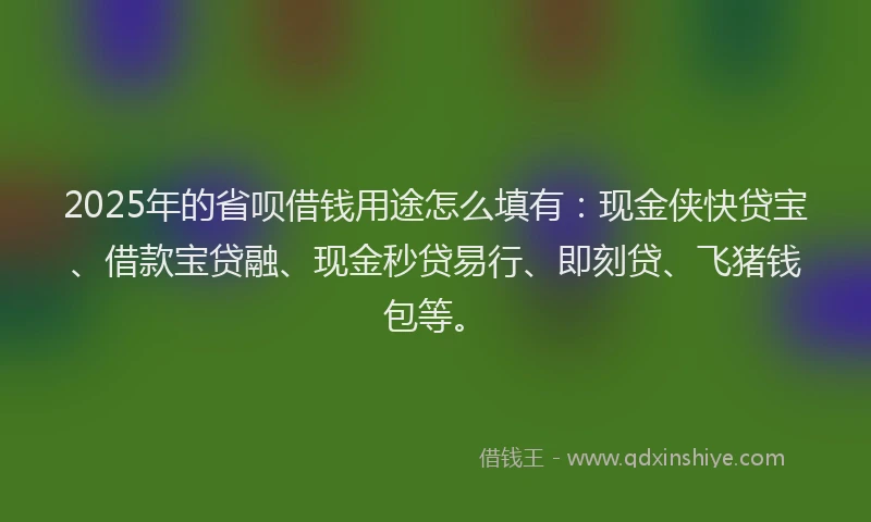 2025年的省呗借钱用途怎么填有：现金侠快贷宝、借款宝贷融、现金秒贷易行、即刻贷、飞猪钱包等。