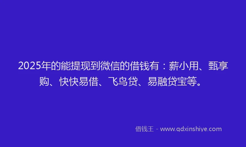 2025年的能提现到微信的借钱有：薪小用、甄享购、快快易借、飞鸟贷、易融贷宝等。