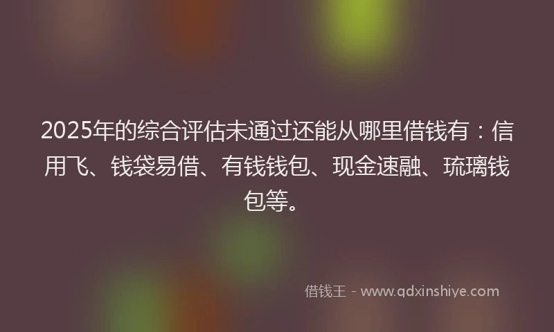 2025年的综合评估未通过还能从哪里借钱有：信用飞、钱袋易借、有钱钱包、现金速融、琉璃钱包等。