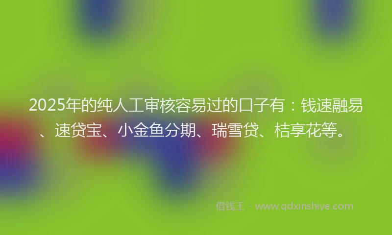 2025年的纯人工审核容易过的口子有：钱速融易、速贷宝、小金鱼分期、瑞雪贷、桔享花等。
