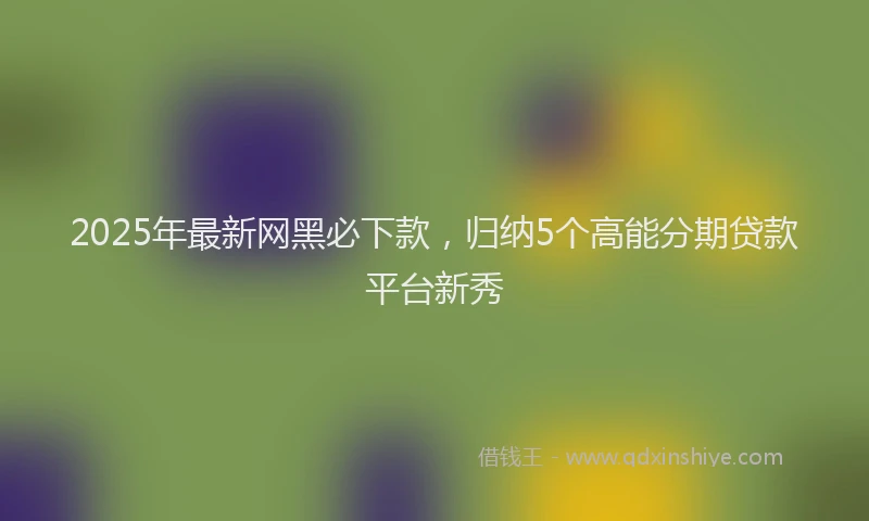 2025年最新网黑必下款，归纳5个高能分期贷款平台新秀