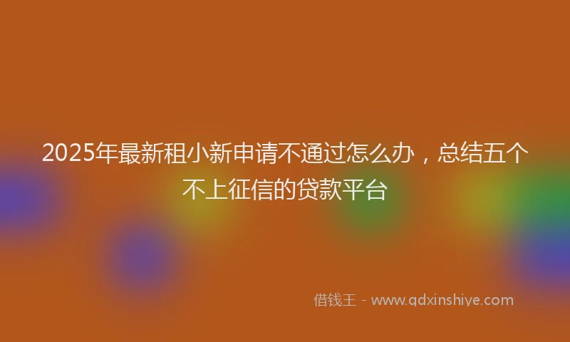 2025年最新租小新申请不通过怎么办，总结五个不上征信的贷款平台