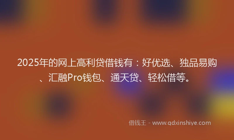 2025年的网上高利贷借钱有：好优选、独品易购、汇融Pro钱包、通天贷、轻松借等。