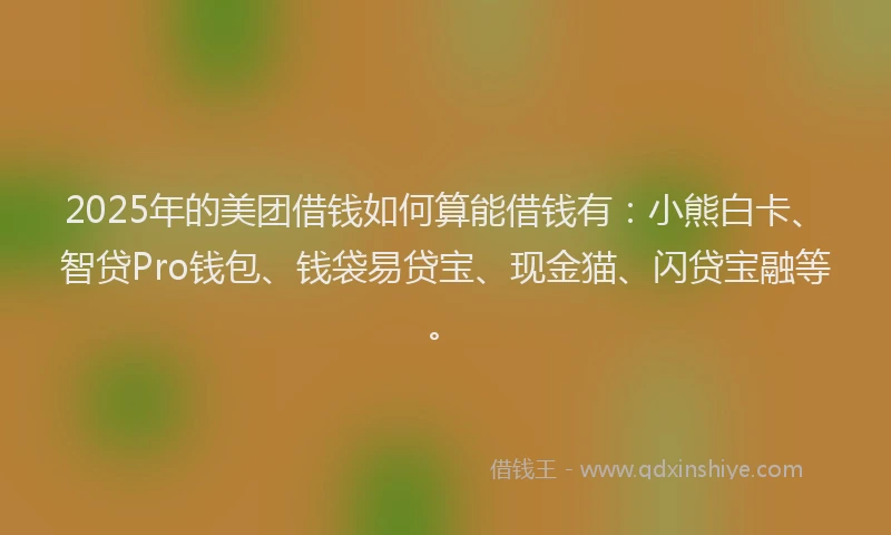 2025年的美团借钱如何算能借钱有：小熊白卡、智贷Pro钱包、钱袋易贷宝、现金猫、闪贷宝融等。