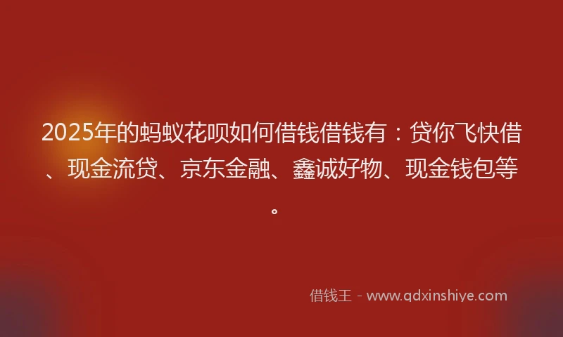 2025年的蚂蚁花呗如何借钱借钱有：贷你飞快借、现金流贷、京东金融、鑫诚好物、现金钱包等。