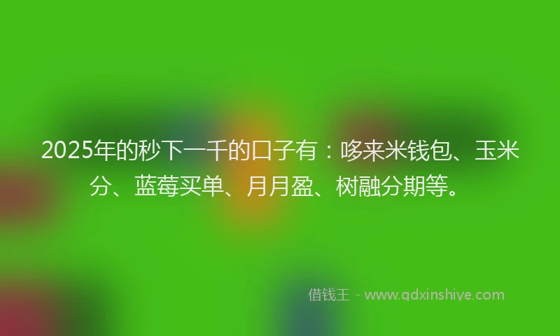 2025年的秒下一千的口子有：哆来米钱包、玉米分、蓝莓买单、月月盈、树融分期等。